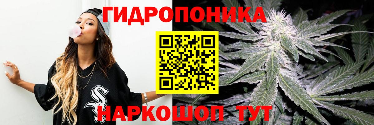 Шишки марихуана конопля  Марихуана конопля  Бошки марихуана ГИДРОПОН  Бошки Шишки конопля  Вход с VPN  Фурманов 